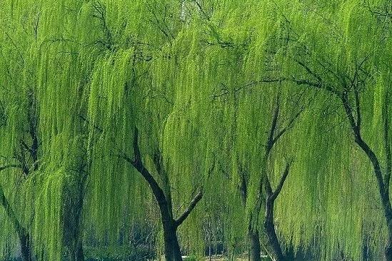 src=http___img.love.tv_201����8_3_29_15_214a38f1abca48cdafa1e6511a4f643f.jpg&amp;r.jpg