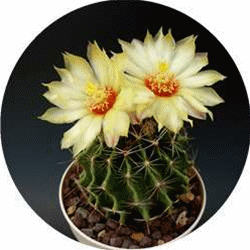 193316jiai6aih4rx4545t.jpg.thumb_����.gif